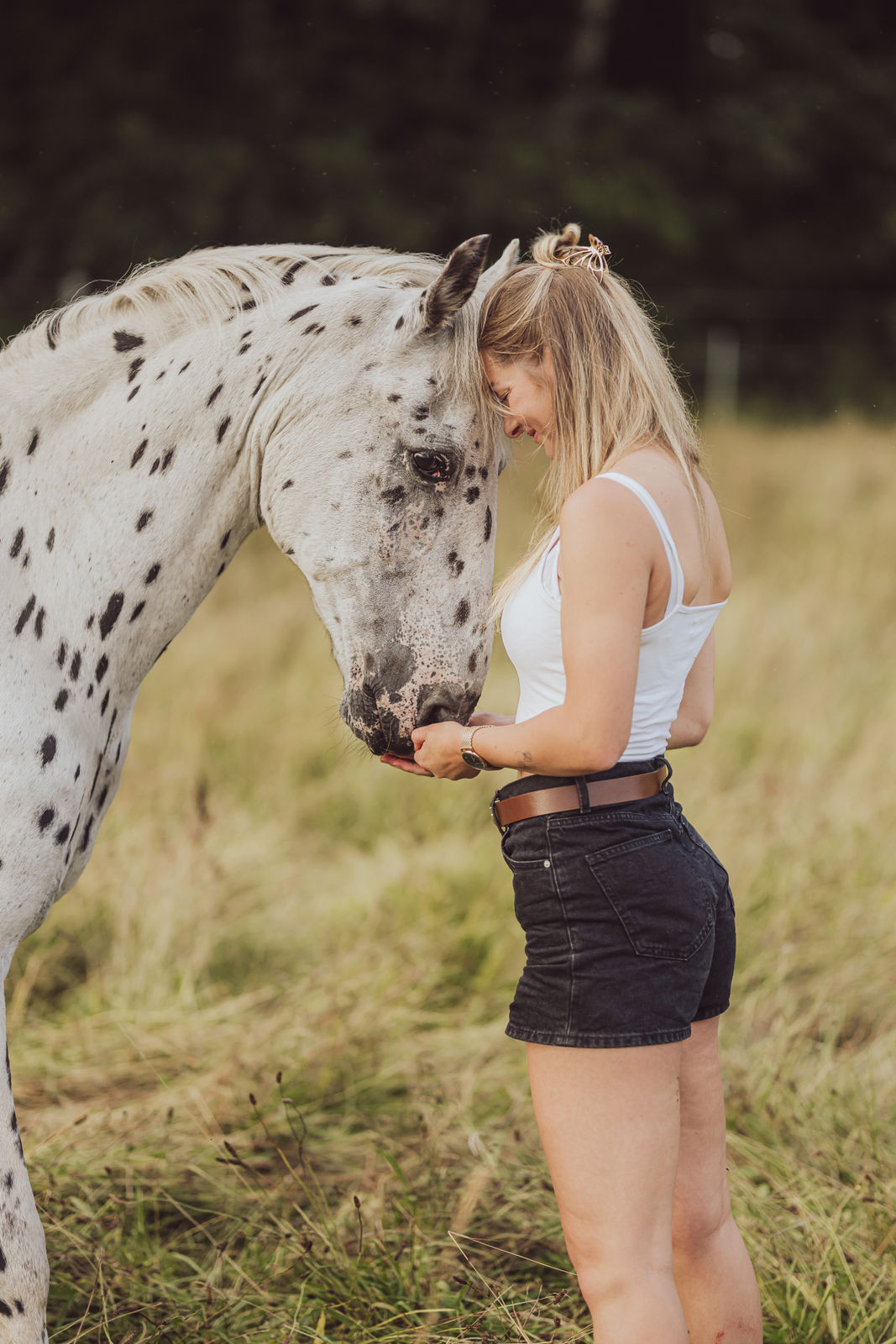 Pferdefotoshooting mit Hund – Celina, Banu & Onkel Pferd, Hund und Halterin – authentische Tierfotografie auf dem Hof