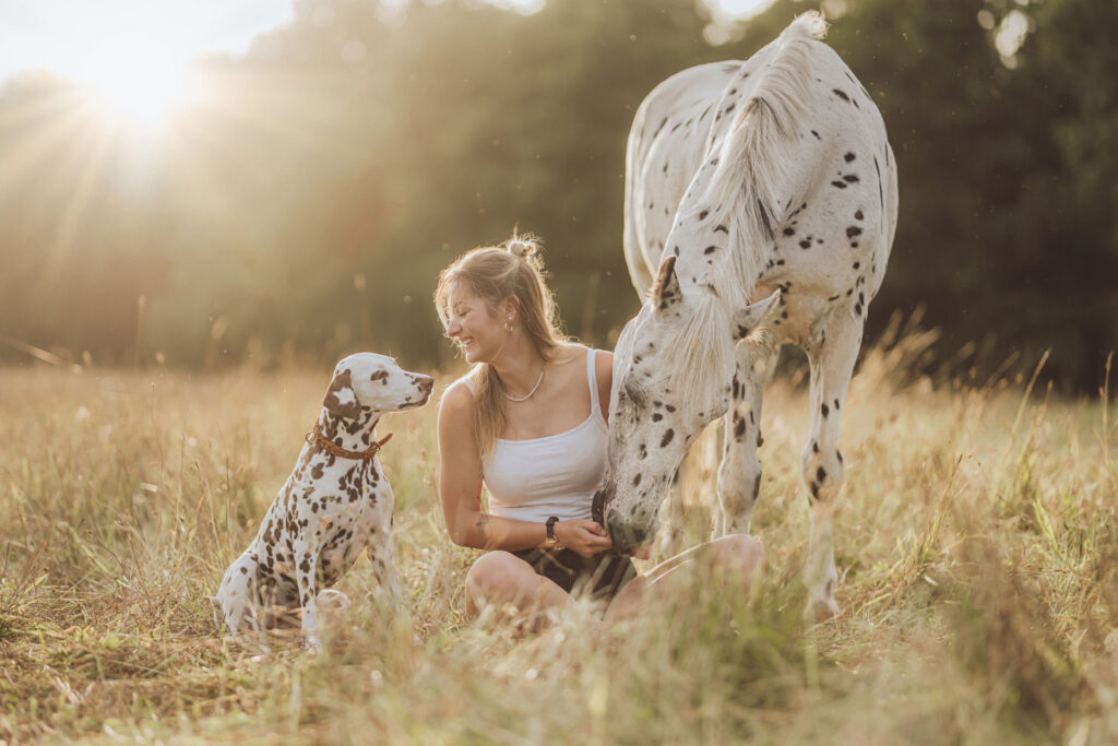 Pferdefotoshooting mit Hund – Celina mit Dalmatiner Banu und Wallach Onkel