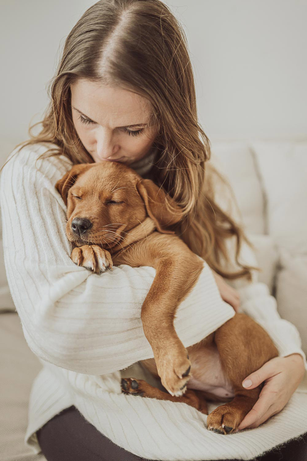 Welpenfotos Labrador - Fotoshooting Labradorwelpe