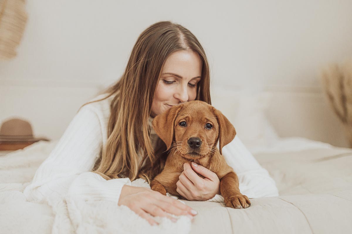 Welpenbegleitung - Fotoshooting vom Welpen zum Junghund