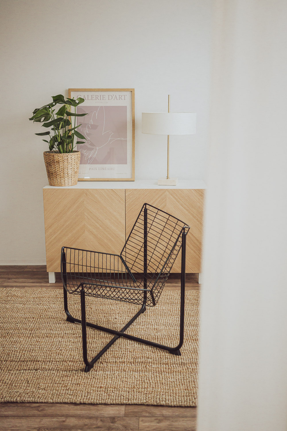 Fotostudio für Hundefotograf und Business Fotos Rostock