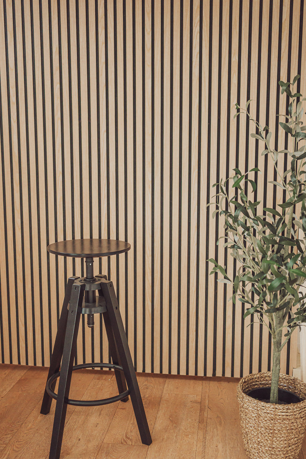 Fotostudio für Hundefotograf und Business Fotos Rostock