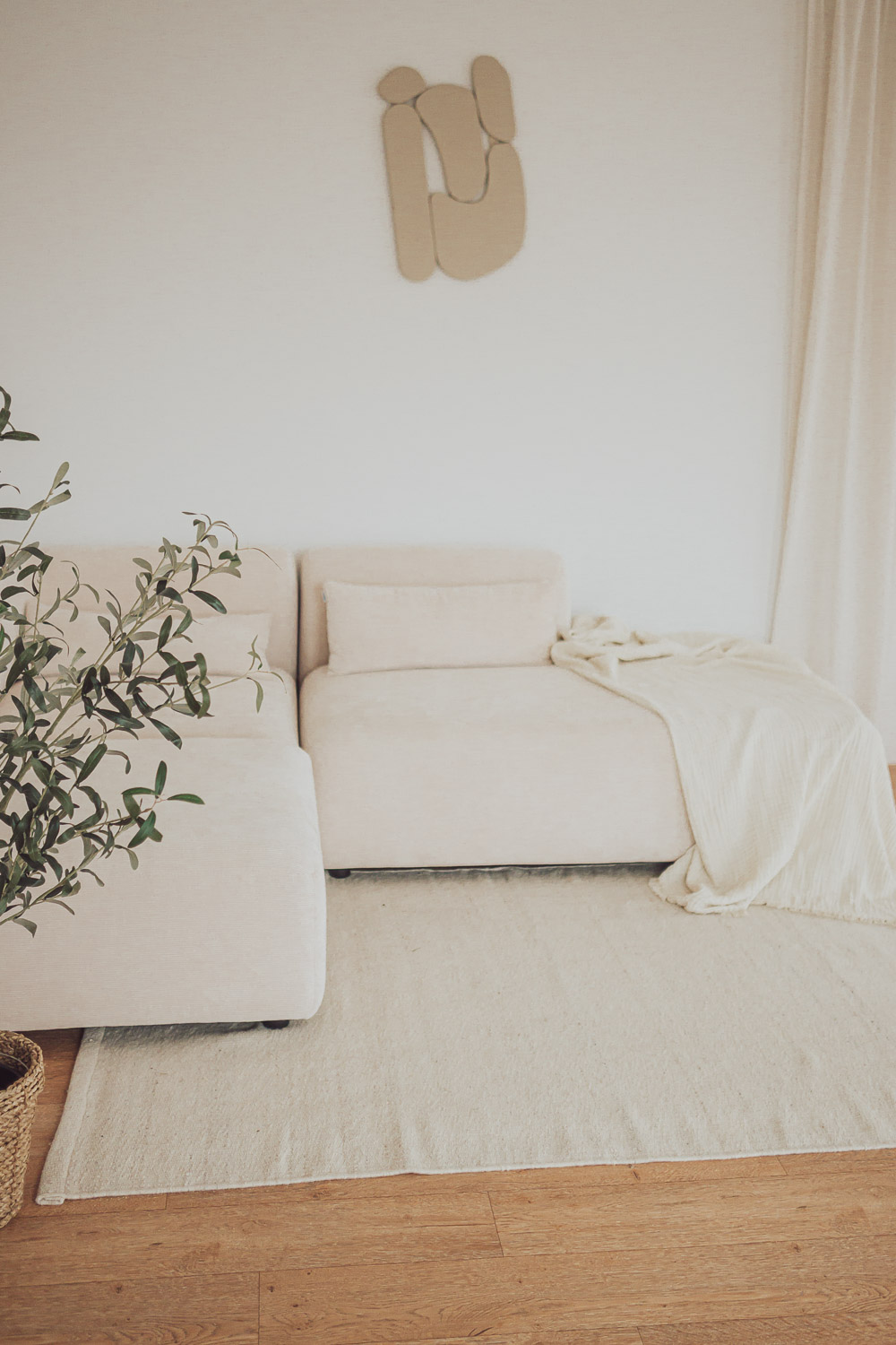 Fotostudio für Hundefotograf und Business Fotos Rostock