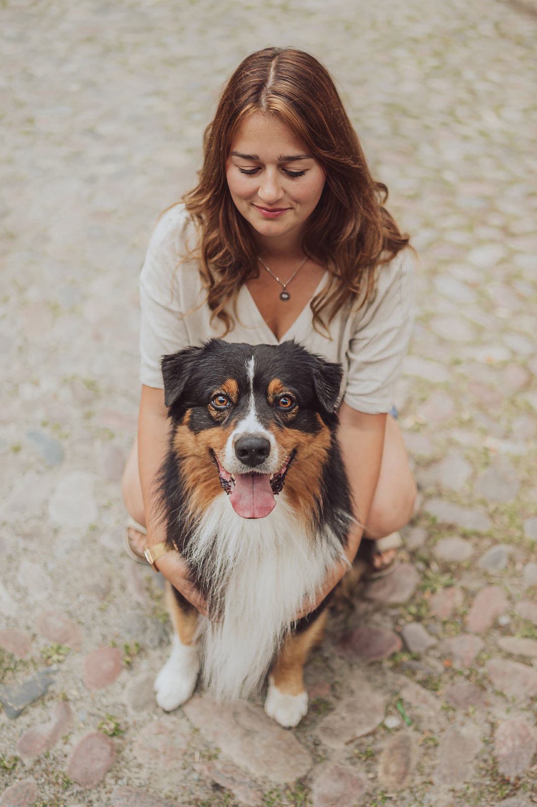 Fotoshooting Hund Stralsund in der Altstadt