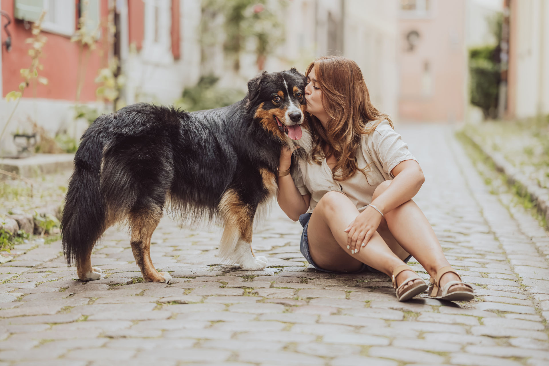 City Shooting Stralsund mit Australian Shepherd Joker