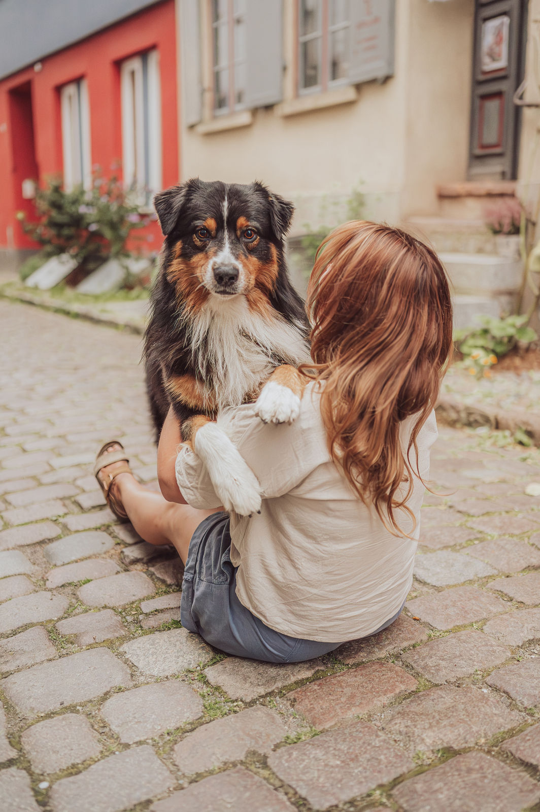 City Shooting Stralsund mit Australian Shepherd Joker