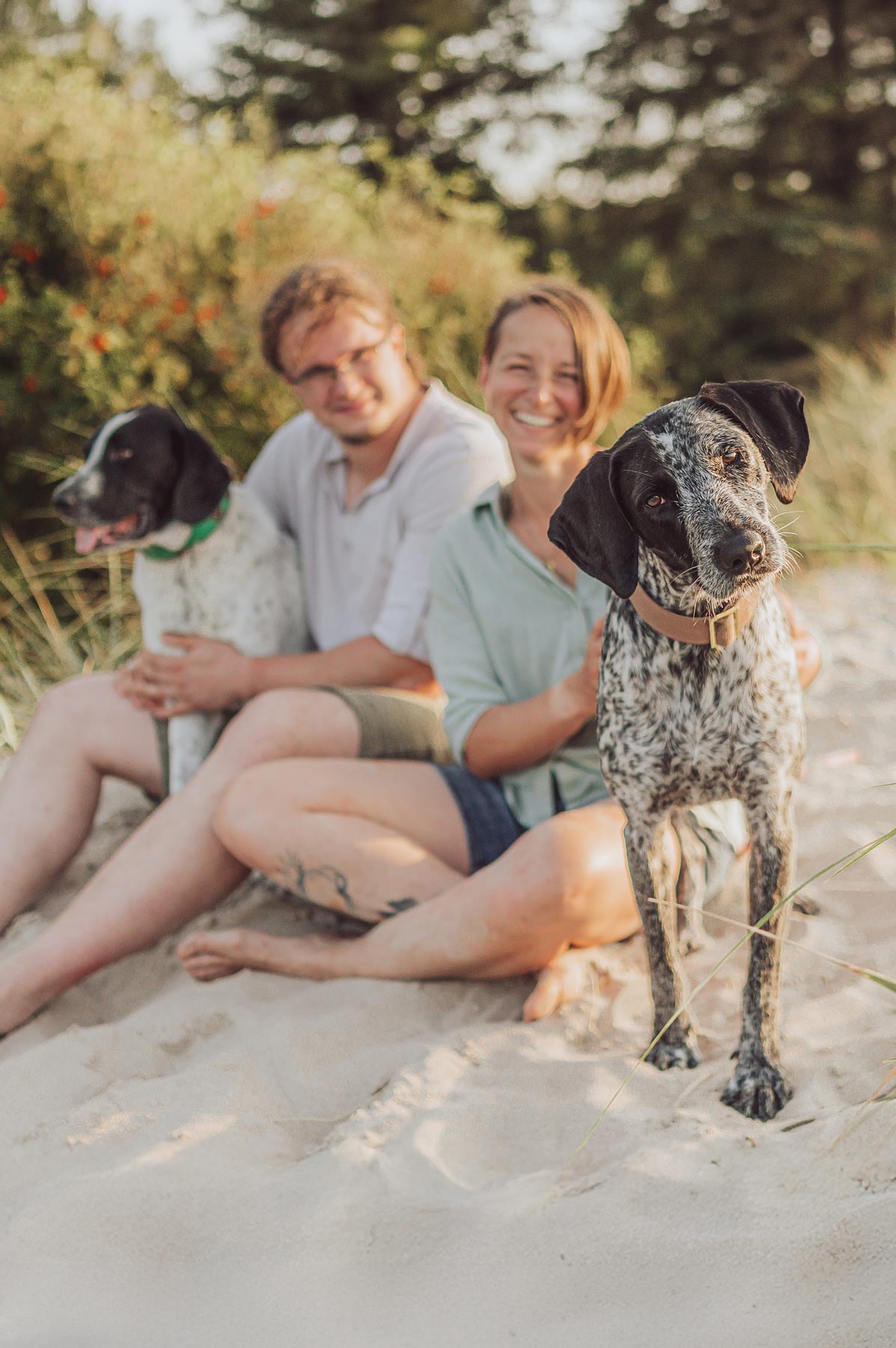 Hundefotograf an der Ostsee, Strand & Meer - Rostock