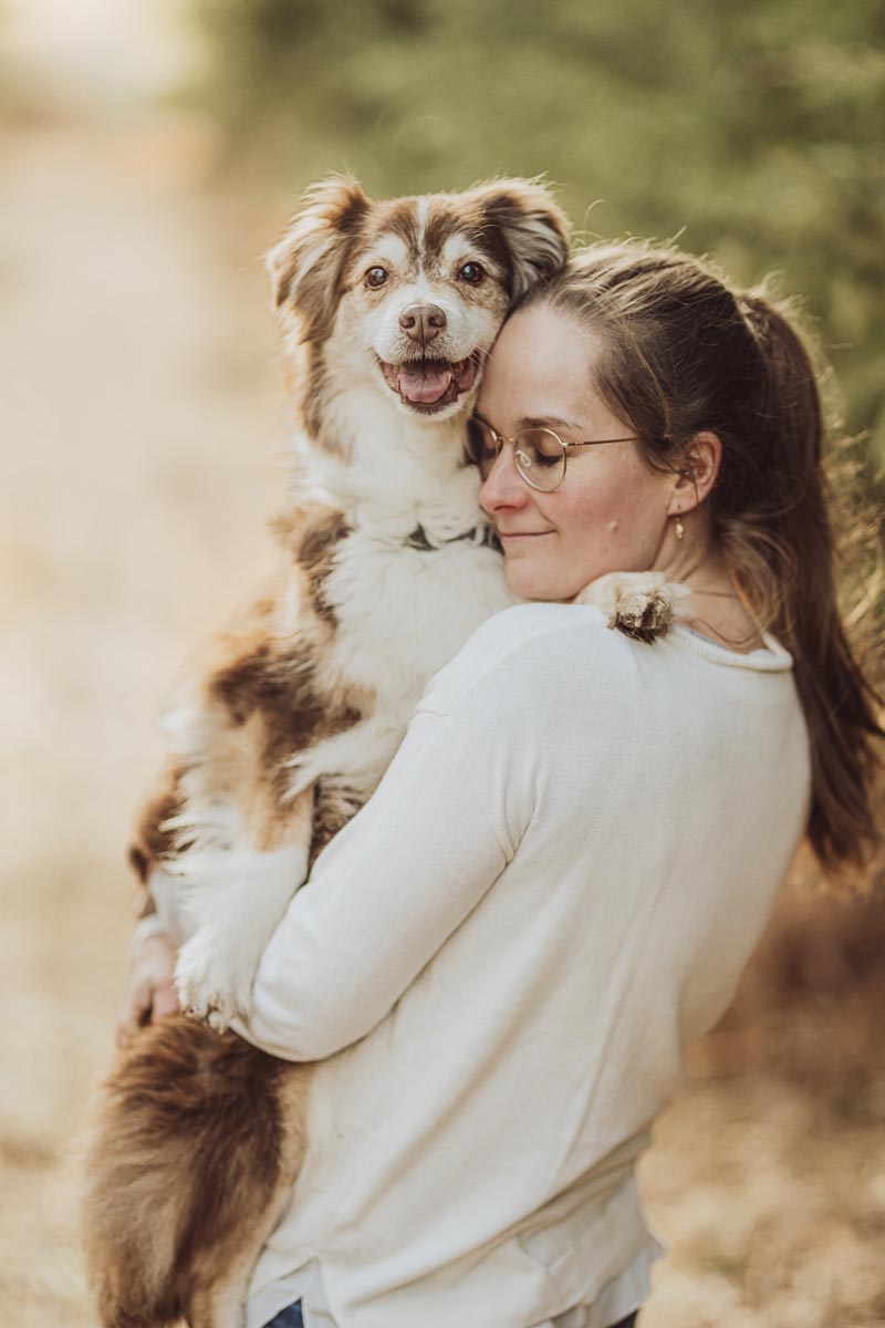 Hundefotograf an der Ostsee, Strand & Meer - Mini Aussie in Rostock