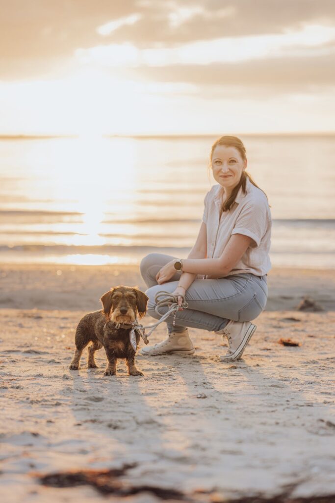 Rauhaardackel im Gegenlicht beim Hundeshooting Ostseestrand Markgrafenheide Hundefotografin Rostock