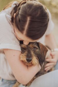 Dackel Shooting Markgrafenheide