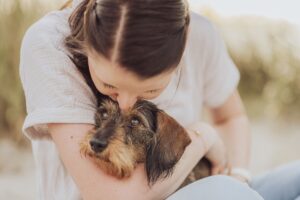 Dackel Shooting Markgrafenheide