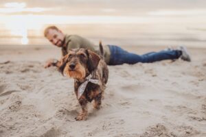 Dackel Shooting Markgrafenheide