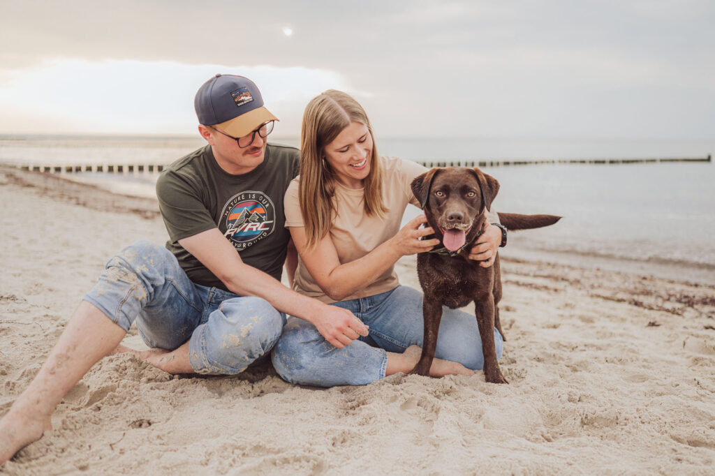 Fotoshooting Ostseestrand Hundefotograf Torfbruecke Graal Mueritz Labrador Rostock 3