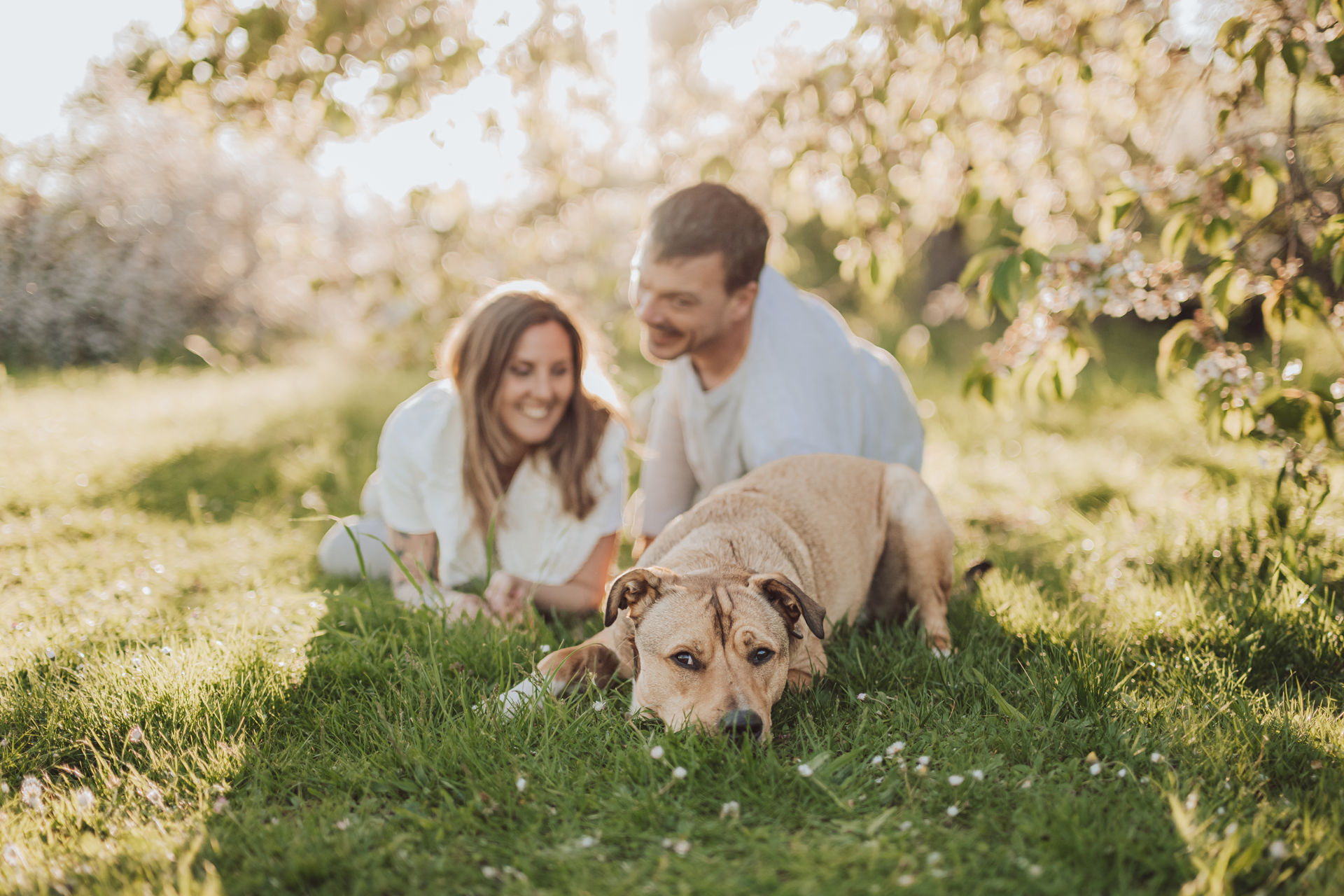 Paerchen kuschelt mit Hund Bolek Kirschbluete Frankfurt Fotoshooting