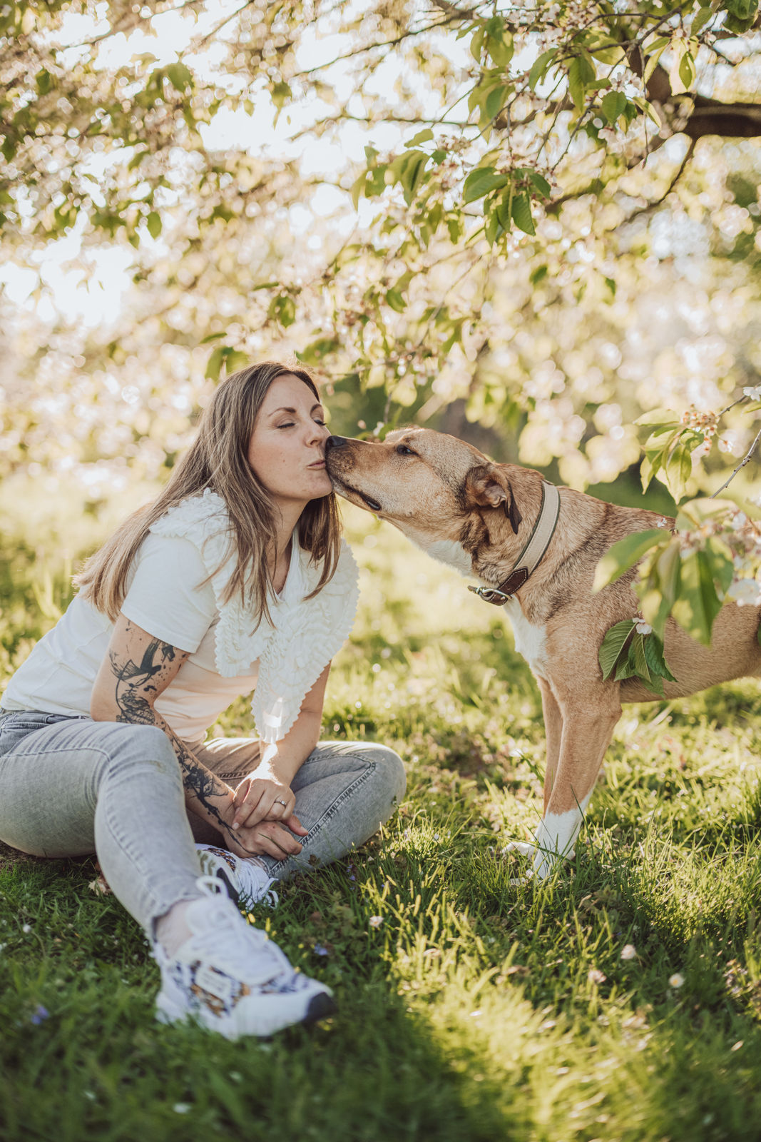 Elisa gibt ihrem Amstaff Bolek einen Kuss unter einem Kirschbaum in Frankfurt am Main
