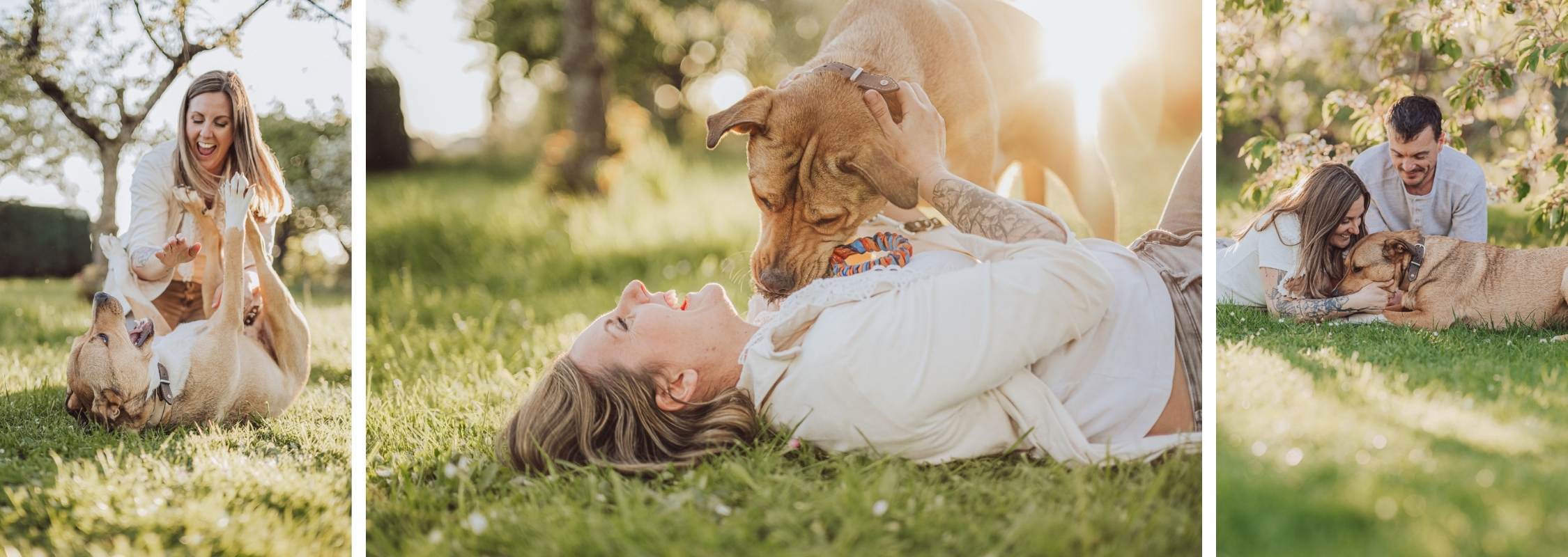 Frau lacht und spielt mit Listenhund (Amstaff) auf der Wiese beim Hundefotoshooting in Frankfurt – Hundefotografin Rike
