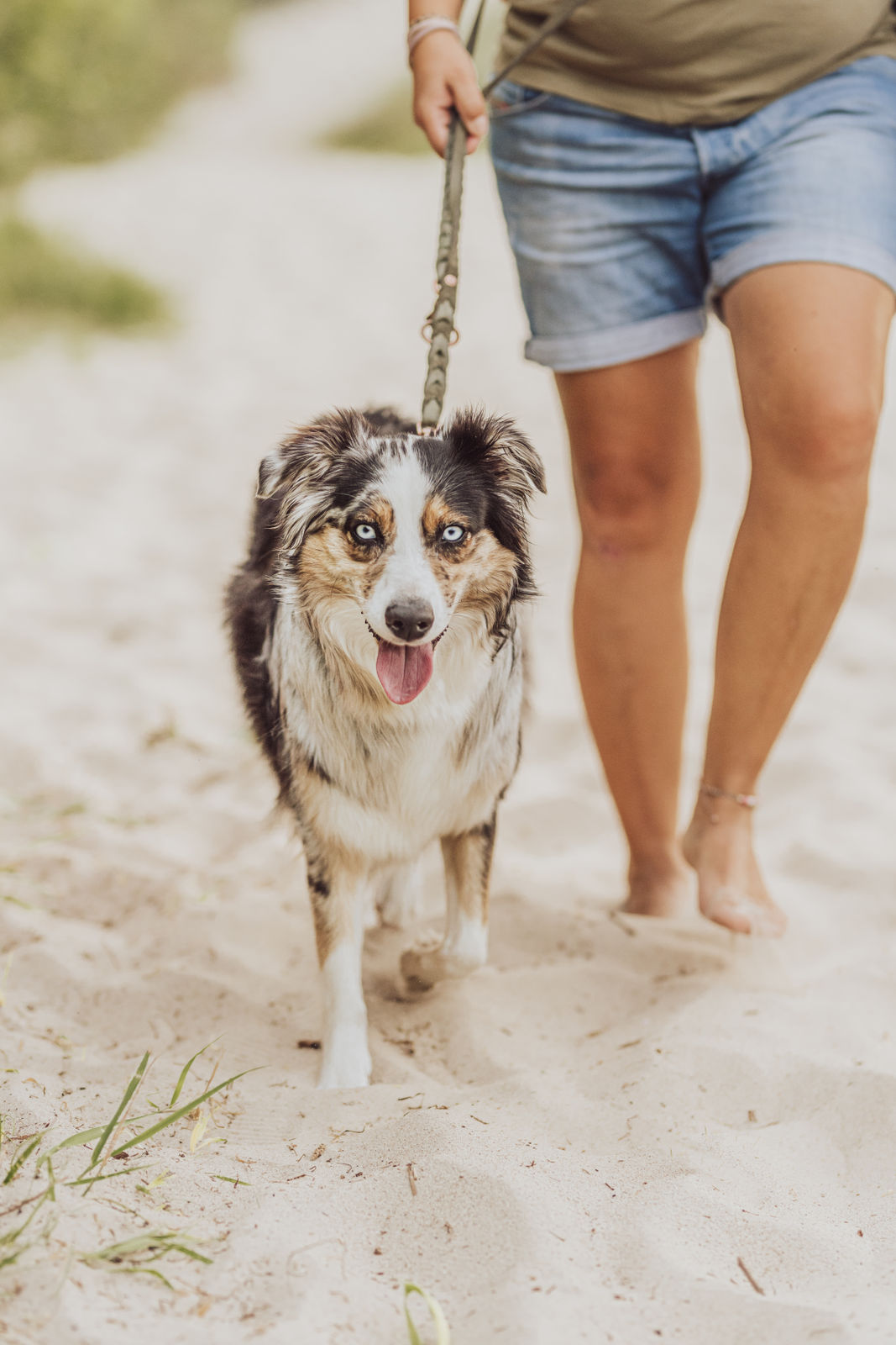 Familienfotoshooting-Hund-Australian-Shepherd-Ostsee-Graal-Müritz-5 Familienfotoshooting Hund Australian Shepherd Ostsee Graal Mueritz 5