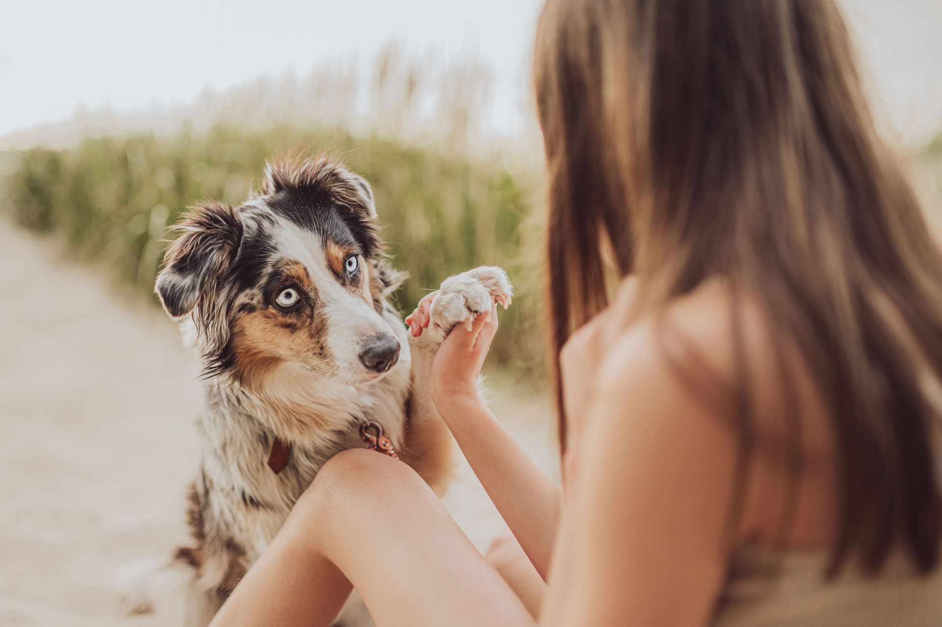 Familienfotoshooting mit Hund am Strand Maedchen und Australian Shepherd Luna Ostseestrand Pfote Herzchen Graal-Mueritz