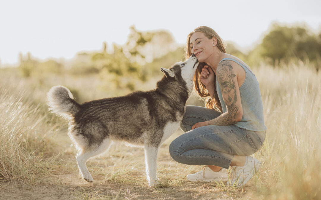 Hundefotograf Kiel – Fotoshooting mit Huskies in Laboe